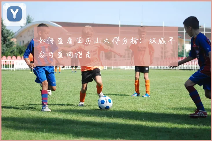 如何查看亚历山大得分榜:权威平台与查询指南
