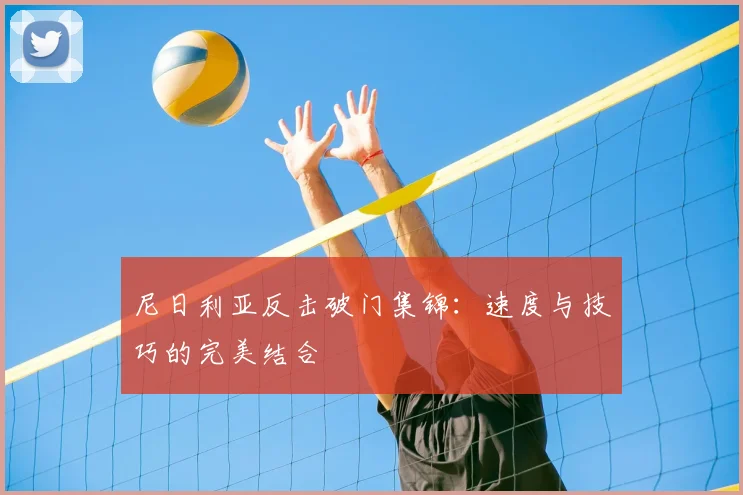 尼日利亚反击破门集锦：速度与技巧的完美结合