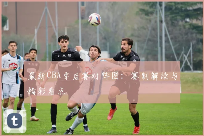 最新CBA季后赛对阵图：赛制解读与精彩看点
